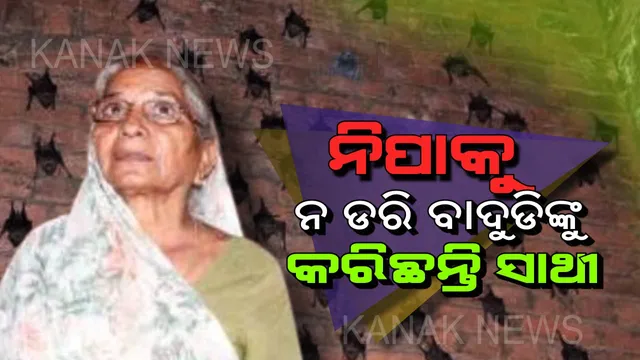 ନିପା ଭାଇରସର ଆତଙ୍କକୁ ଖାତିର ନକରି ଏହି ମହିଳା ରହନ୍ତି ୪୦୦ ବାଦୁଡିଙ୍କ ସହ, ଏହି ବିଷୟରେ ତାଙ୍କ ବୟାନ ଶୁଣିଲେ ହୋଇଯିବେ ଆଶ୍ଚର୍ଯ୍ୟ