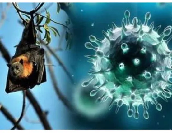 ନିପା ଭୂତାଣୁର ଭୟବହତାକୁ ଲକ୍ଷ୍ୟ କରି ରାଜ୍ୟ ସରକାରଙ୍କ ଆଗତୁରା ପଦକ୍ଷେପ ! ଭୁବନେଶ୍ୱର ଏମ୍‌ସରେ ଖୋଲିଲା ସ୍ୱତନ୍ତ୍ର ଓ୍ଵାର୍ଡ