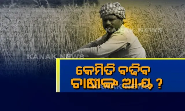ଚାଷୀ ବାଛିବେ ସରକାର କାହାର? ୭୦ ପ୍ରତିଶତ ଭୋଟବ୍ୟାଙ୍କ ପାଇଁ ବଡ କସରତ
