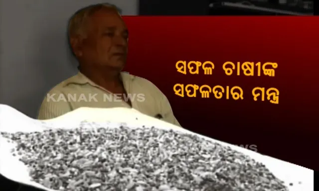 କୋରାପୁଟ ମାର୍କେଟରେ ସୁଗର ଫ୍ରି ଚାଉଳ ! ଜୈବିକ ପଦ୍ଧତିରେ ଚାଷ କରି ଉଦାହରଣ ସୃଷ୍ଟି କଲେ କୋରାପୁରଟ ସଫଳ ଚାଷୀ ନିତ୍ୟାନନ୍ଦ