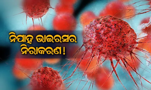 କେରଳ ପରେ ନିପା ଭାଇରସକୁ ନେଇ ସତର୍କ କଲେ ଓଡିଶା ସରକାର ! ୩ ଜଣିଆ ଟିମ୍ ପ୍ରସ୍ତୁତ କରି ନଜର ରଖିବାକୁ ନିର୍ଦ୍ଦେଶ ଦେଲା ସ୍ୱାସ୍ଥ୍ୟ ବିଭାଗ