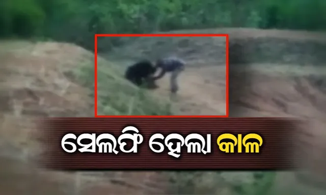 ମରିଗଲା ମାନବିକତା ! ଯୁବକଙ୍କୁ ଭାଲୁ ଆକ୍ରମଣ କରିବାର ଭିଡ଼ିଓ ସୁଟିଂ କଲେ ଲୋକେ, କିନ୍ତୁ ସହାୟତା ପାଇଁ ପାଖକୁ ଆସିଲେନି