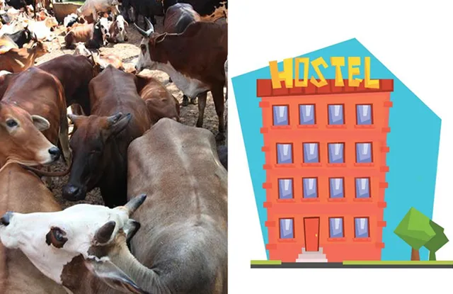 ଗାଈ ମଇଁଷିଙ୍କ ‘ହଷ୍ଟେଲ’ ପରେ ଏବେ ଜେଲରେ ଗୋଶାଳା ନିର୍ମାଣ କରିବାକୁ ସରକାରଙ୍କ ଯୋଜନା  : ଜାଣନ୍ତୁ କାହିଁକି ?