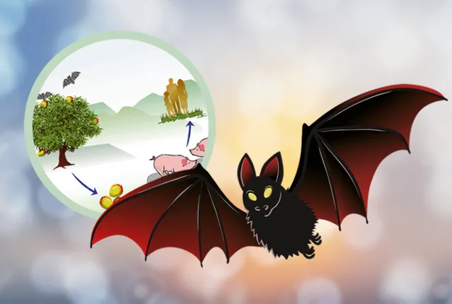 ନିପାହ ଭାଇରସ ସଂକ୍ରମଣକୁ ନେଇ ଆପଣାନ୍ତୁ ସଚେତନତା ! ରୋଗୀଙ୍କ ଠାରୁ ରଖନ୍ତୁ ଦୂରତା ।