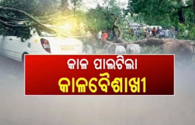 କାଳରାତ୍ରିରେ କାଳବୈଶାଖୀ ଆଣିଲା ମୃତ୍ୟୁର ତାଣ୍ଡବ ! ଉତ୍ତରପ୍ରଦେଶ ଓ ରାଜସ୍ଥାନରେ ଶତାଧିକ ମୃତ, ଓଡ଼ିଶାରେ ଚାଲିଗଲା ୩ଟି ଜୀବନ