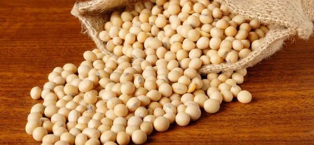 ଛୋଟ ଛୋଟ କଥାକୁ ଭୁଲିବା ଭଳି ସମସ୍ୟା ଦେଖାଯାଉଛି କି ? ଖାଇବା ରୁଟିନ୍ ସାମିଲ କରନ୍ତୁ ଏହି ଦ୍ରବ୍ୟ ।