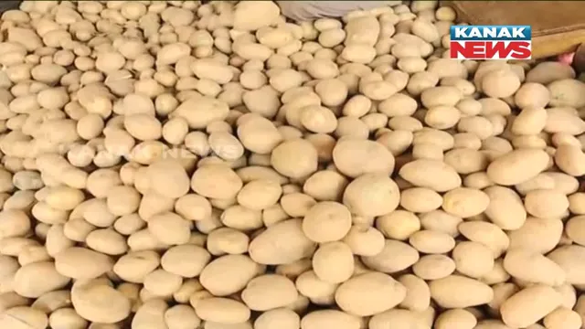 ଚିନ୍ତା ବଢାଉଛି ଆଳୁ ଦର : ଅଧିକ ଆଳୁ ରଖିଥିବା ମହଜୁଦକାରୀଙ୍କ ଉପରେ ଚଢାଉ ପାଇଁ ଯୋଗାଣ ବିଭାଗର ନିର୍ଦ୍ଦେଶ, ଦର ନିୟନ୍ତ୍ରଣ ପାଇଁ ସବୁ ଜିଲ୍ଲାପାଳଙ୍କୁ ଚିଠି