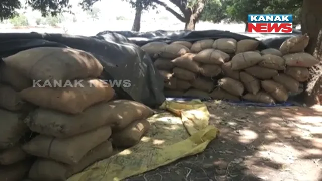 ଧାନ ବିକ୍ରି ପାଇଁ ରାତି ଅନିଦ୍ରା ହେଲେ ଚାଷୀ ! ରାଜ୍ୟ ବାହାରେ ଧାନ ବିକ୍ରି କରିବାକୁ ମାଗିଲେ ଅନୁମତି