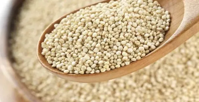 ବ୍ଲଡ୍ ପ୍ରେସର ପାଇଁ ରାମବାଣ ଭଳି କାମ କରେ ପୋସ୍ତ ! ଜାଣନ୍ତୁ କିଭଳି କରିବେ ବ୍ୟବହାର ।