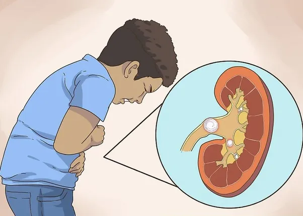 ଅଧିକ ପାଣି ପିଉଛନ୍ତି କି ? ସାବଧାନ, ହୋଇପାରେ କିଡନି ଜନିତ ସମସ୍ୟା