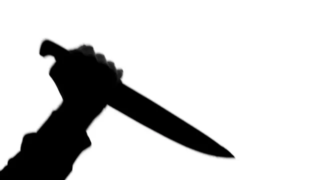 ବିଭତ୍ସ ହତ୍ୟାକାଣ୍ଡ । ଗଣ୍ଡି ଗଡ଼ୁଛି, ମୁଣ୍ଡ ଧରି ଅଭିଯୁକ୍ତ ଫେରାର