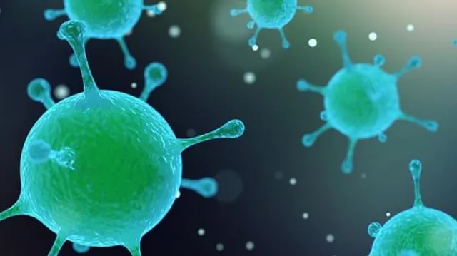 ଦୁନିଆର ୬ ସବୁଠାରୁ ବିପଦଜନକ ଭାଇରସ୍ : ନେଇସାରିଛି ହଜାର ହଜାର ଲୋକଙ୍କ ଜୀବନ, ଜାଣିବା ପାଇଁ ପଢ଼ନ୍ତୁ ସମ୍ପୁର୍ଣ୍ଣ ଖବର