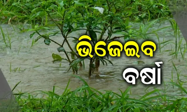ପାର୍ବଣ ପୂର୍ବରୁ ଭିଜିବ ଓଡ଼ିଶା ! ବଙ୍ଗୋପସାଗରେ ଲଘୁଚାପ, ପାଣିପାଗ ବିଭାଗର ସୂଚନା, ୧୦ରୁ ଓଡିଶାର ବିଭିନ୍ନ ସ୍ଥାନରେ ବର୍ଷା ।
