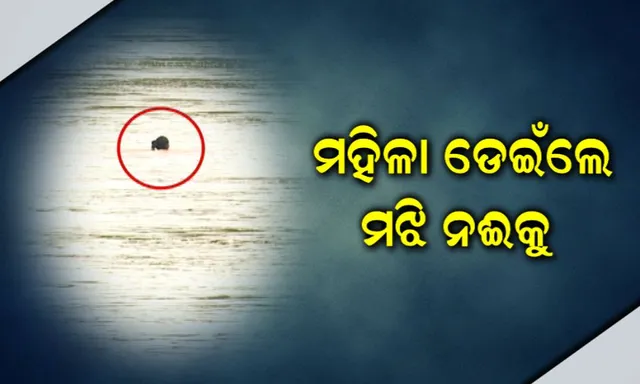 ଏପଟେ ଚାଲିଥିଲା ଉଦ୍ଧାର, ସେପଟେ ନଦୀକୁ ଡେଇଁ ପଡିଲେ ମହିଳା : ଆତ୍ମହତ୍ୟା ପାଇଁ କୁଆଖାଇକୁ ଡେଇଁପଡିଲେ ପୂର୍ବତନ ହୋମଗାର୍ଡ