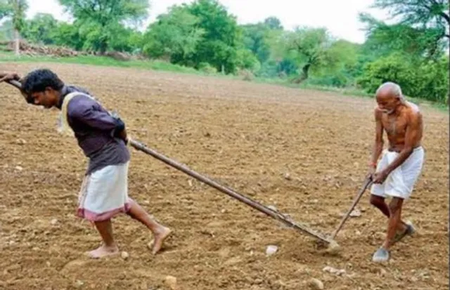 ଏମିତି ଆମ ଚାଷୀଙ୍କ ଜୀବନ ! ୪୫ ବର୍ଷୀୟ ପୁଅ ହେଲା ବଳଦ, ୮୦ ବର୍ଷୀୟ ବାପା କରିଲେ ହଳ