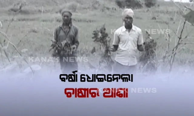 ଚାଷୀର ଭାତହାଣ୍ଡିକୁ ଉଜାଡିଦେଲା ଜୱାଦ । ହେକ୍ଟର ହେକ୍ଟର ଜମିରେ ପାଣି ଭିତରେ ପଡି ରହିଛି ପାଚିଲା ଧାନ ।