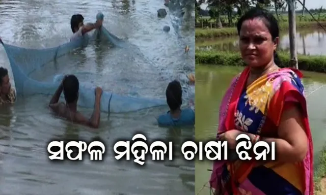 ଜଣେ ସଫଳ ମହିଳା ଚାଷୀଙ୍କ ପ୍ରେରଣାଦାୟୀ କାହାଣୀ : ୬ଟି  ଜିଲ୍ଲାର ମତ୍ସ୍ୟଚାଷୀଙ୍କୁ ମାଛ ଯାଅାଁଳ ଯୋଗାଉଛନ୍ତି କେନ୍ଦ୍ରାପଡ଼ାର ଝିନା ପରିଡ଼ା