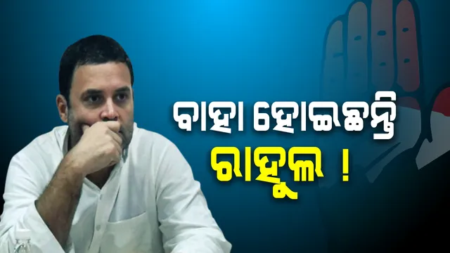 ମୋଦିଙ୍କୁ ହଟାଇବି ତା’ପରେ ବାହାହେବା କଥା ଚିନ୍ତା କରିବି ! ଜାଣନ୍ତୁ କାହିଁକି ଏମିତି କହିଲେ କଂଗ୍ରେସ ଅଧ୍ୟକ୍ଷ ରାହୁଲ ଗାନ୍ଧି
