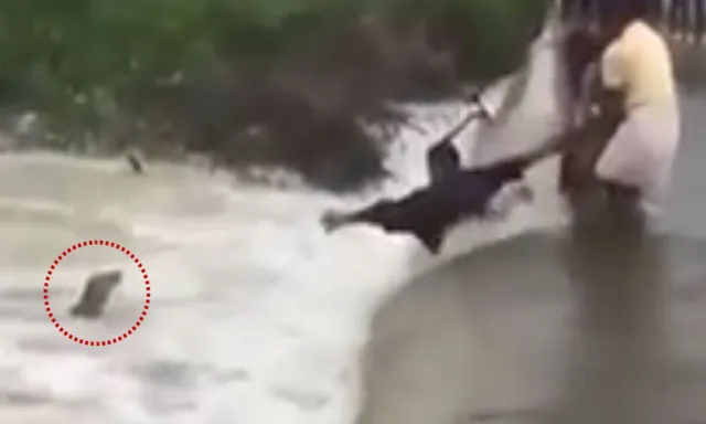 କେରଳ ବନ୍ୟା ପାଣିରେ ଭାସି ଯାଉଥିଲା କୁକୁର ! କିଛି ଏଭଳି ଭାବେ ଏହି ଯୁବକ କୁକୁରକୁ ଦେଲେ ନୂଆ ଜୀବନ ।