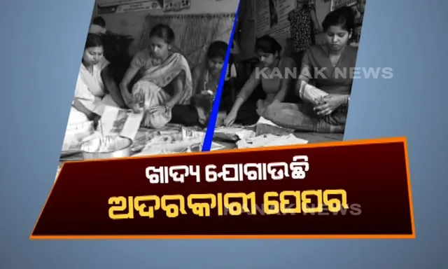 ରୋଜଗାରର ମାଧ୍ୟମ ପାଲଟିଛି କାଗଜ ଠୁଙ୍ଗା ବ୍ୟବସାୟ : ପ୍ଲାଷ୍ଟିକ୍ ବ୍ୟାନ୍ ହେବା ଖବର ପରେ ବଢିଲା ବିକ୍ରି,ସ୍ୱାବଲମ୍ବୀ ହେଲେ ମହିଳା