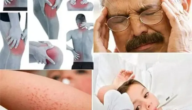 ଚିକନଗୁନିଆ ଓ ଡେଙ୍ଗୁ ଭଳି ମାରାତ୍ମକ ରୋଗରୁ ରକ୍ଷା ପାଇବା ଲାଗି ଆପଣାନ୍ତୁ ଏହି ସରଳ ଉପାୟ । ଚୁଟକିରେ ଭଲ ହେବ ରୋଗ !