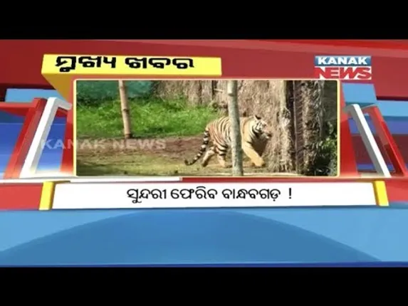 ପ୍ରାଇମ୍ ଟାଇମ୍ ବୁଲେଟିନ୍ : ୧୩/୦୯/୧୮