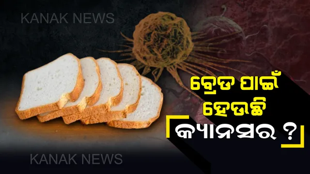 ସାବଧାନ! ପାଉଁରୁଟି ଖାଇଲେ ହୋଇପାରେ କ୍ୟାନସର, ଯାଂଚ ଦ୍ୱାରା ଫେଲ ମାରିଲା ଦେଶର ସମସ୍ତ ବ୍ରାଣ୍ଡେଡ କଂପାନୀର ବ୍ରେଡ