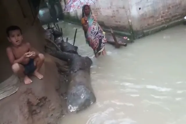 ଲଗାଣ ବର୍ଷା ପରେ ଭଦ୍ରକରେ ଜନଜୀବନ ବେହାଲ । ମିର୍ଜାପୁର ଓ ଗୁଜିଦରଡା ଅଂଚଳରେ ଘରେ ପଶିଲା ପାଣି