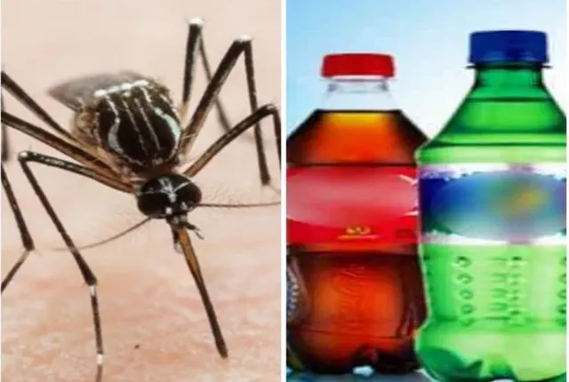 ଘରେ ପ୍ରବଳ ମଶା ହେଉଛି କି? କୋଲଡ୍ରିଙ୍କ୍ ବୋତଲ ଭିତରେ ରହିଛି ଆପଣଙ୍କ ସମସ୍ୟାର ସମାଧାନ,କିଭଳି ଜାଣନ୍ତୁ ।