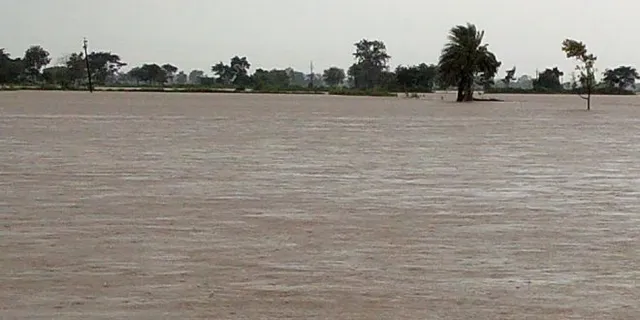 ଲଗାଣ ବର୍ଷା ଯୋଗୁଁ ଫୁଲୁଛି ନଦୀ ! ବିପଦ ସଙ୍କେତ ଉପରେ ବୈତରଣୀ, ଗାଁରେ ପଶିଲା ପାଣି ।