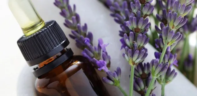 ଆପଣ ଏହି ୫ଟି ରୋଗ ପାଇଁ ଅସୁସ୍ଥତା ଅନୁଭବ କରୁଛନ୍ତି କି? ତେବେ ଆପଣାନ୍ତୁ ଏହି ଘରୋଇ ଉପଚାର