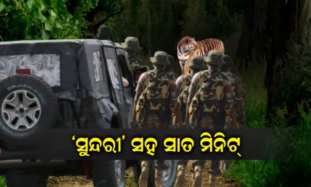 ‘ସୁନ୍ଦରୀ’ ସହ ୭ ମିନିଟ୍ ! ଜାଣନ୍ତୁ ସାତକୋଶିଆର ଏହି ଲୋମଟାଙ୍କୁରା ଘଟଣା, ଯେବେ ଜଙ୍ଗଲରେ ଯବାନ ଓ ବାଘୁଣୀ ହୁଅନ୍ତି ମୁହାଁମୁହିଁ ।