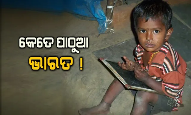 କେତେ ସାକ୍ଷର ଭାରତ ? ଜାଣନ୍ତୁ କେଉଁ ରାଜ୍ୟରେ ଅଛନ୍ତି ସର୍ବାଧିକ ଶିକ୍ଷିତ, ଓଡିଶାର ସ୍ଥାନ କେତେ