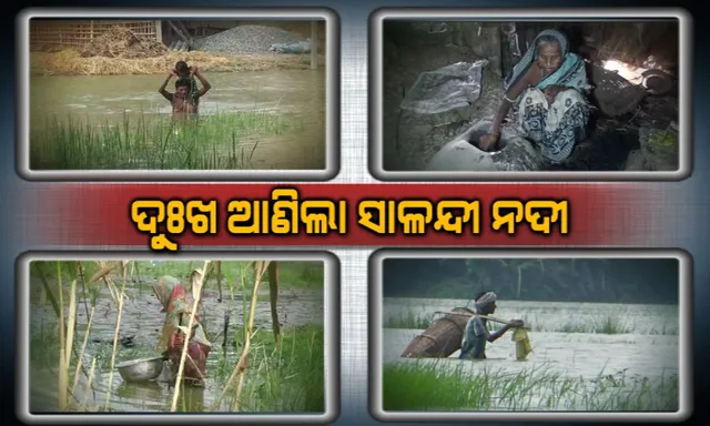 ବନ୍ୟା ଛାଡିଲା ହେଲା ଛାଡୁନି ଦୁର୍ଦ୍ଦଶା: ସାଳନ୍ଦୀ ନଦୀ ପାଣିରେ ବୁଡିଲା ଚାନ୍ଦବାଲି ବ୍ଲକର ଶହ ଶହ ଏକର ଜମି, ୫୦ ପରିବାର ଜଳବନ୍ଦୀ