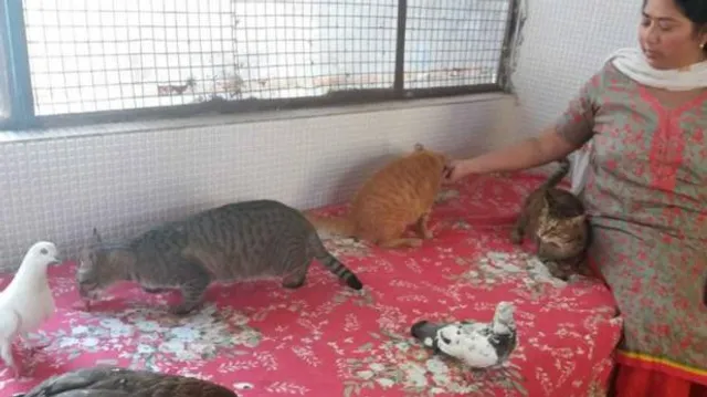 ପଶୁପକ୍ଷୀଙ୍କ ପ୍ରତି ଅଜବ ଭଲପାଇବା ! ୨୫ ବିଲେଇ, ୨୦ କୁକୁର ଓ ଅନ୍ୟାନ୍ୟ ଜୀବଙ୍କ ପାଇଁ ସ୍ୱାମୀ ଏବଂ ପରିବାରକୁ ଛାଡି ଅଲଗା ରହୁଛନ୍ତି ଏହି ମହିଳା ।