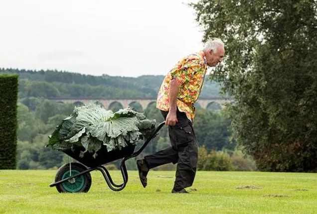 ଏହି ଚାଷୀ ଉତ୍ପାଦନ କଲେ ୩୦ କେଜିର ଏକ କୋବି ! ଲୋକେ କହିଲେ ଚାଷୀଙ୍କ ହାତରେ ରହିଛି ମ୍ୟାଜିକ୍ ।