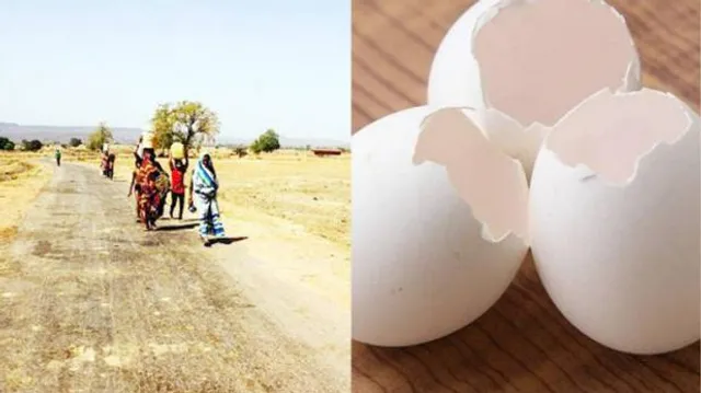 ଅଣ୍ଡା ଖୋଳକୁ ବ୍ୟବହାର କରି ରୋଜଗାର ହେଉଛି ଲକ୍ଷ ଲକ୍ଷ ଟଙ୍କା ! ଜାଣନ୍ତୁ କେଉଁଠି ଏବଂ କିପରି ।