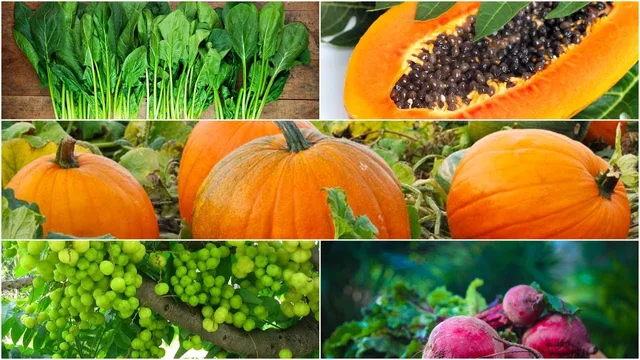 ଡେଙ୍ଗୁ-ମ୍ୟାଲେରିଆ ଯୋଗୁଁ ଆପଣଙ୍କ ଶରୀରରୁ ପ୍ଲେଟଲେଟ୍ସ କମିଯାଇଛି କି ? ତେବେ ଖାଦ୍ୟରେ ସାମିଲ କରନ୍ତୁ ଏହି ୪ଟି ଜିନିଷ