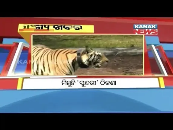 ପ୍ରାଇମ୍ ଟାଇମ୍ ବୁଲେଟିନ୍ : ୧୫/୦୯/୧୮