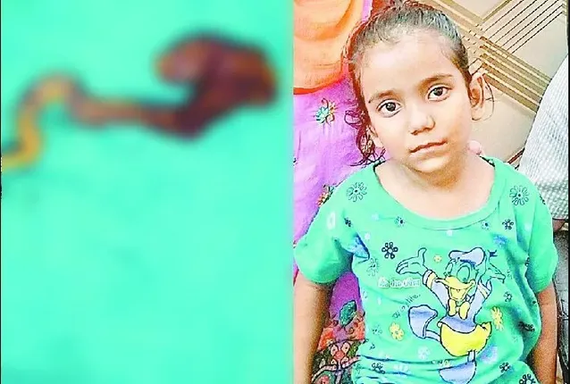 ୬ ବର୍ଷର ଝିଅ ପେଟରୁ ବାହାରିଲା କିଛି ଏପରି,ଡାକ୍ତର ଦେଖି ହେଲେ ଆଶ୍ଚର୍ଯ୍ୟ ।