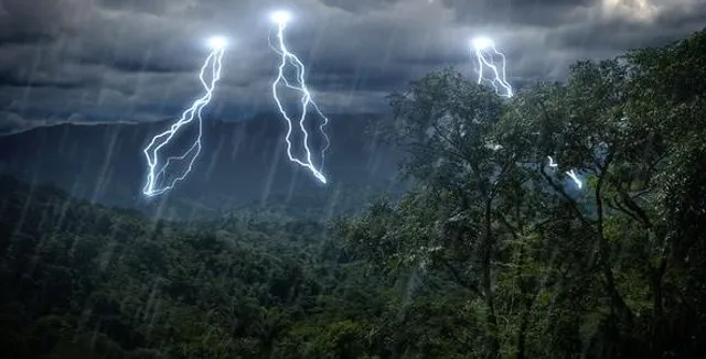 ତିନି ଦିନ ଧରି ବର୍ଷିବ, ଲଘୁଚାପ ପ୍ରଭାବରେ ଭିଜିବ ଉପକୂଳର ୮ଟି ଜିଲ୍ଲା! କଣ କରିବେ ଚାଷୀ, ପ୍ରତିକାର ସହ ସର୍ତକ ରହିବାକୁ ପରାମର୍ଶ ଦେଲା କୃଷି ବିଭାଗ