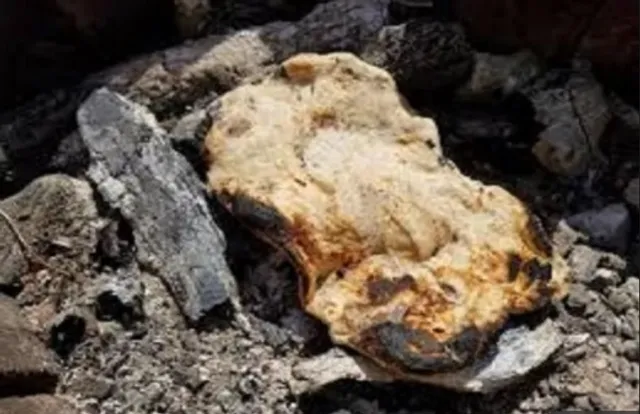 ଜେଲର ପୋଡା ରୁଟି ନେଇ ଅଦାଲତରେ ପହଞ୍ଚିଲେ କଏଦୀ । କାରଣ ଜାଣିବା ପରେ ବିଚାରପତିଙ୍କ ହୃଦୟ ମଧ୍ୟ ତରଳିଗଲା