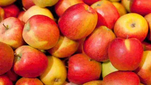 କେଉଁ ରୋଗରେ ପୀଡିତ ଥିଲେ ସେଓ ଖାଇବା ଉଚିତ ନୁହେଁ ?