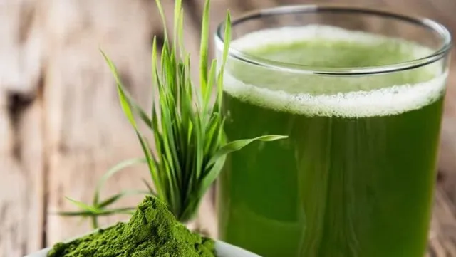 ଘାସ ଦୂର କରେ ରୋଗ ! ମଧୁମେହ ଠାରୁ ଆରମ୍ଭ କରି ମେଦବହୁଳତା ପର୍ଯ୍ୟନ୍ତ ସବୁକୁ ମୂଳରୁ ନାଶ କରେ ଏହି ଘାସର ରସ ।