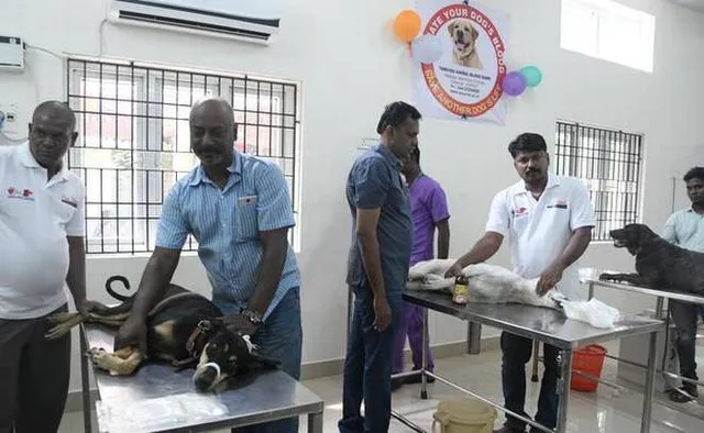 ରକ୍ତଦାନ ଶିବିରରେ ପଶୁଙ୍କ ଯୋଗଦାନ ! ୫୦ରୁ ଅଧିକ କୁକୁର କଲେ ରକ୍ତଦାନ ।