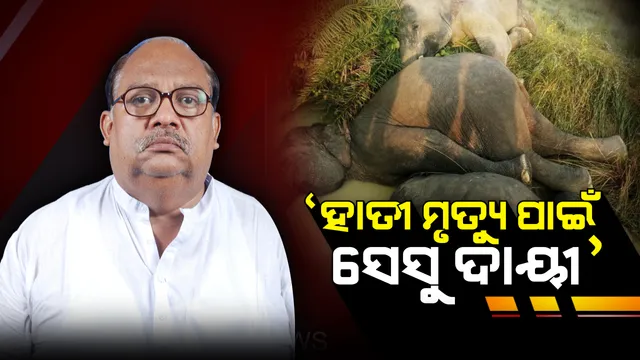 ଢେଙ୍କାନାଳ ହାତୀ ମୃତ୍ୟୁ ଘଟଣା । ‘ସେସୁ’କୁ ଦାୟୀ କଲେ ଜଙ୍ଗଲ ଓ ପରିବେଶ ମନ୍ତ୍ରୀ ବିଜୟଶ୍ରୀ ରାଉତରାୟ।