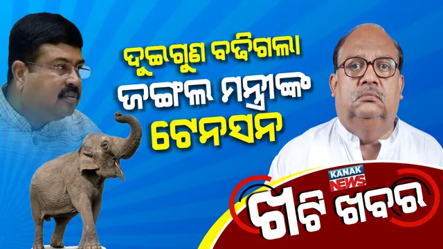 ବାଘ,ହାତୀ ପରେ ଧର୍ମେନ୍ଦ୍ର ବଢାଇଲେ ଜଙ୍ଗଲମନ୍ତ୍ରୀଙ୍କ ଟେନସନ ! ବାସୁଦେବପୁରରେ ଦୋହଲିଯିବ କି ବିଜୟଶ୍ରୀଙ୍କ ଗଡ ?