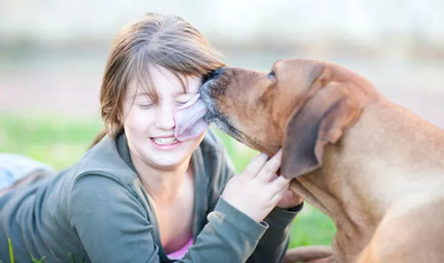 ହୁସିଆର ! କୁକୁର ଠାରୁ ବ୍ୟାପୁଛି ଏହି ମାରାତ୍ମକ ରୋଗ ,ଯକୃତ ଏବଂ ଫୁସଫୁସକୁ କରୁଛି ଅକାମୀ ।