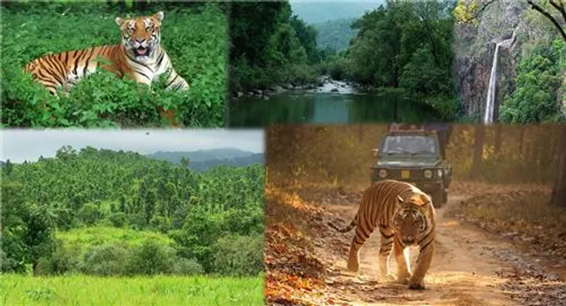 ଶିମିଳିପାଳରେ ଅଛନ୍ତି ମାତ୍ର ୧୭ ବାଘ! ସେପଟେ ଶିମିଳିପାଳରେ ବାଘସଂଖ୍ୟାକୁ ନେଇ ସନ୍ଦେହ ପ୍ରକାଶ କଲେ ବନ୍ୟପ୍ରାଣୀ ବିଶେଷଜ୍ଞ