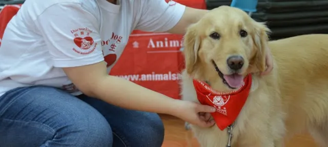 ଡାକ୍ତର ନୁହେଁ ଏଠାରେ କୁକୁର କରୁଛି ମଣିଷଙ୍କ ଚିକିତ୍ସା ! ଜାଣନ୍ତୁ କେଉଁଠି ଏବଂ କିପରି କୁକୁର ଦ୍ୱାରା ହେଉଛି ଚିକିତ୍ସା ।